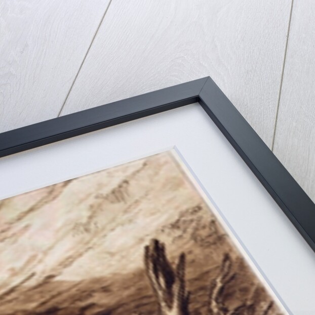 Jason by Joseph Mallord William Turner