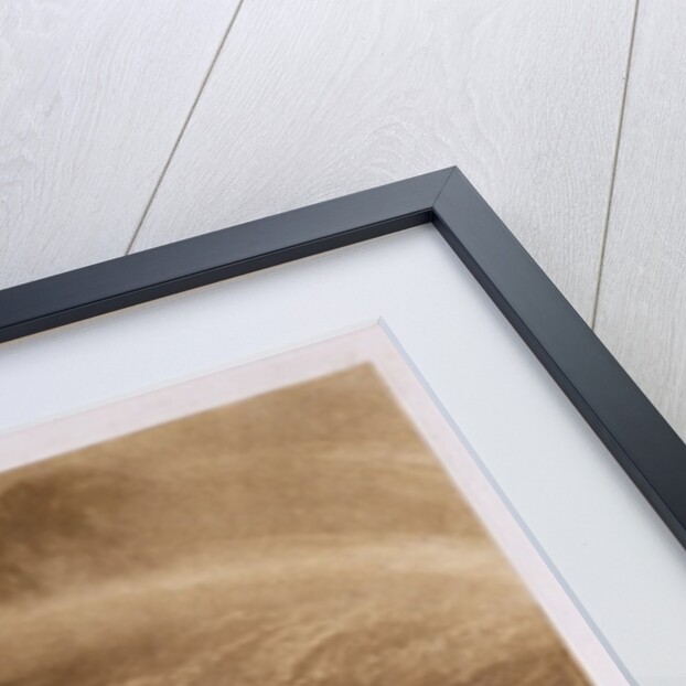 Peat Bog, Scotland by Joseph Mallord William (after) Turner