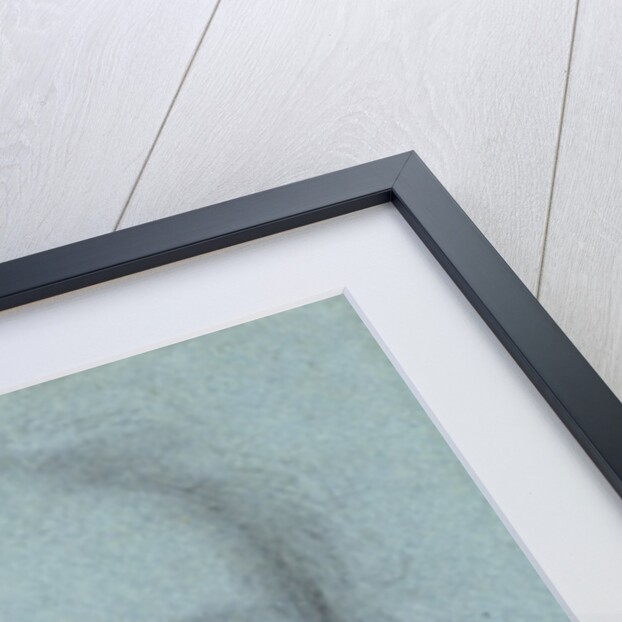 Head of a Girl by Allan Ramsay