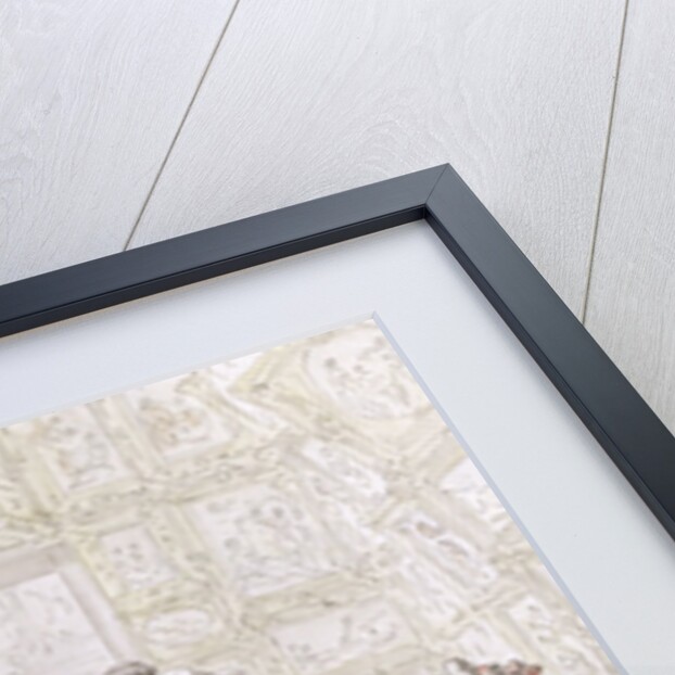 Viewing at the Royal Academy, c.1815 by Thomas Rowlandson