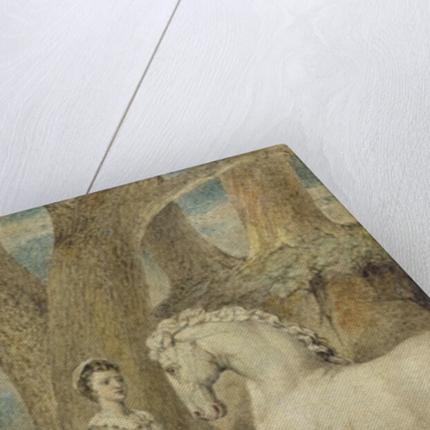 The Horse by William Blake
