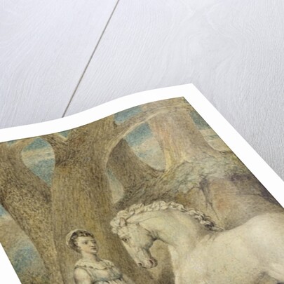 The Horse by William Blake