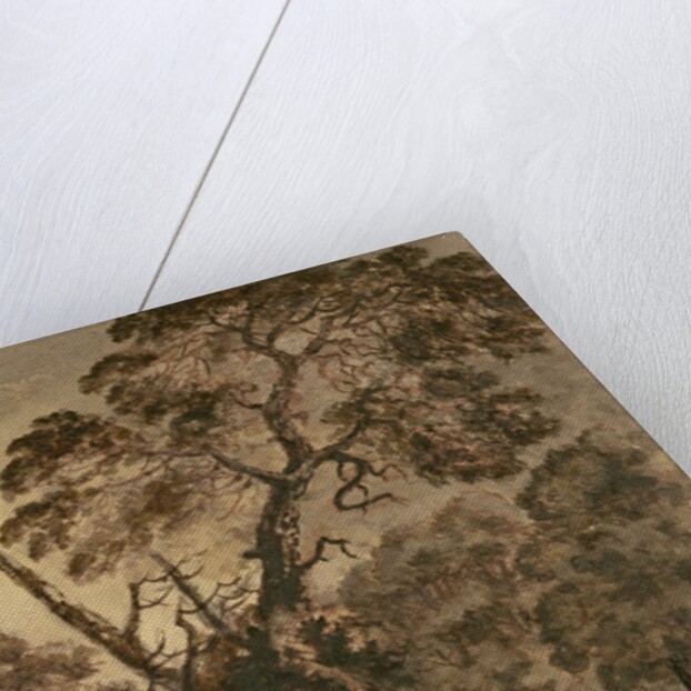 Forest Scene, A Giant Scots Fir and Forest Glade, 1771 by Rev. William Gilpin