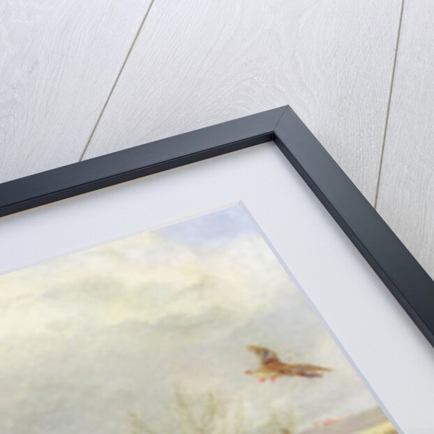 Duck Shooting by Henry Thomas Alken