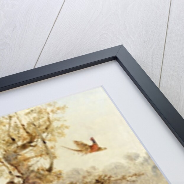 Pheasant Shooting by Henry Thomas Alken