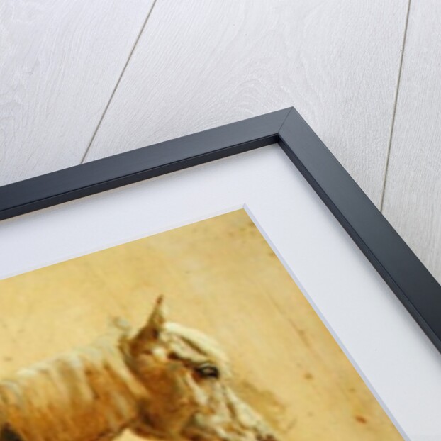 Study of a Grey Horse by Jacques-Laurent Agasse