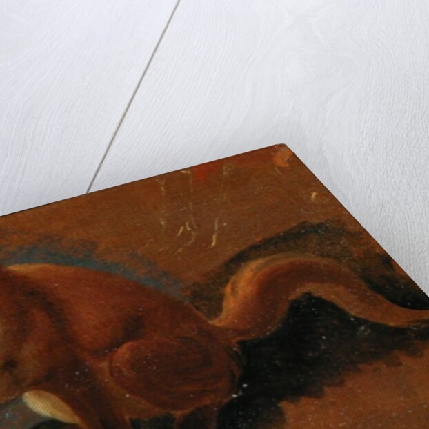 Study of a Fox by Jacques-Laurent Agasse