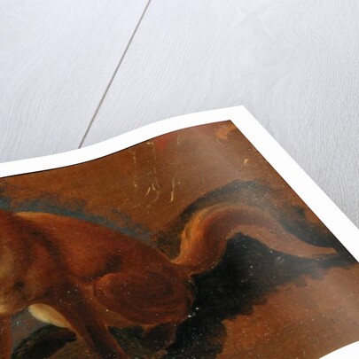 Study of a Fox by Jacques-Laurent Agasse