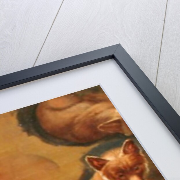 Studies of a Fox, a Barn Owl, a Peahen and a Young Man's Head by Jacques-Laurent Agasse