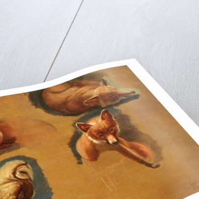 Studies of a Fox, a Barn Owl, a Peahen and a Young Man's Head by Jacques-Laurent Agasse