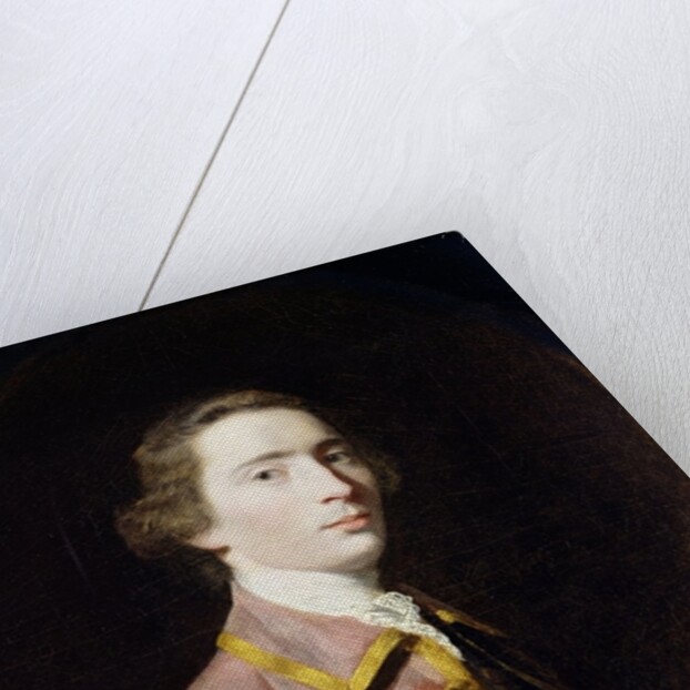 Charles Carroll of Carrollton, c.1763 by Joshua Reynolds