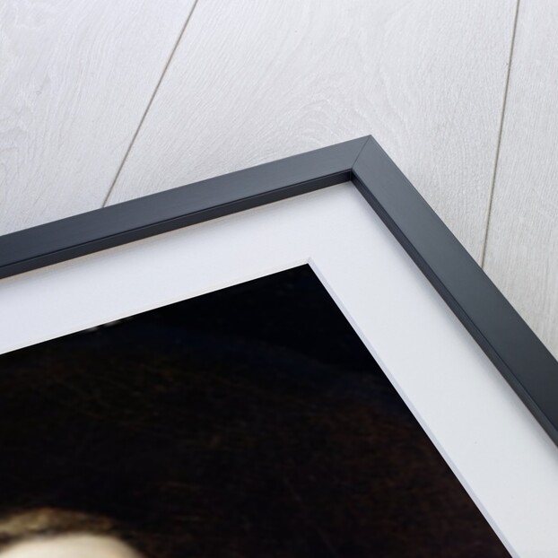 Charles Carroll of Carrollton, c.1763 by Joshua Reynolds