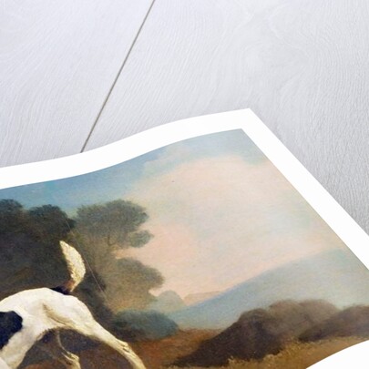Foxhound on the Scent, c.1760 by George Stubbs