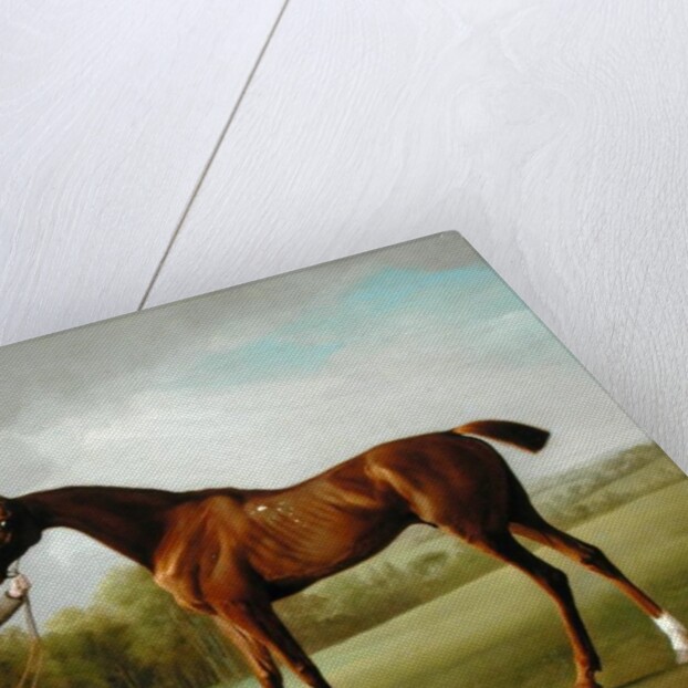 Lustre, held by a Groom, c.1760-62 by George Stubbs