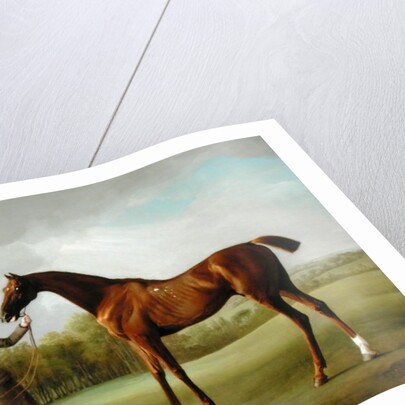 Lustre, held by a Groom, c.1760-62 by George Stubbs