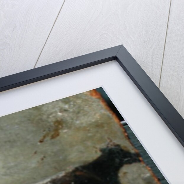 Study of Five Horned Cattle by John Constable