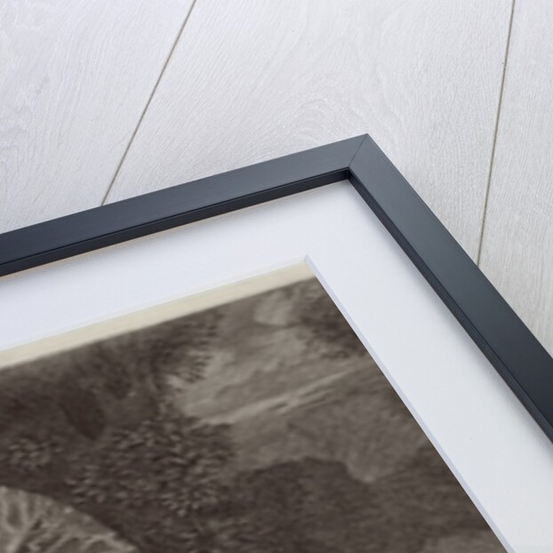 Barbara Duchess of Cleaveland as a Shepherdess engraved by William Sherwin, 1670 by Peter Lely