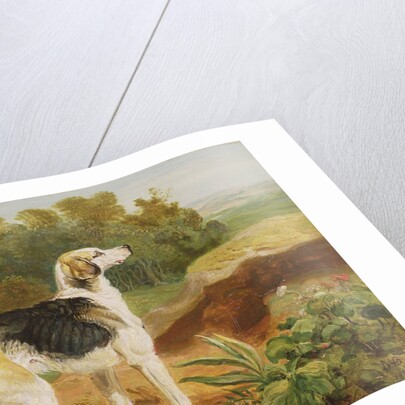 Ravager, one of the Lambton Hounds by James Ward