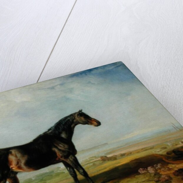 Dr. Syntax, a bay racehorse, standing in a coastal landscape, an estuary beyond by James Ward