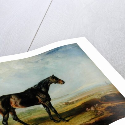 Dr. Syntax, a bay racehorse, standing in a coastal landscape, an estuary beyond by James Ward