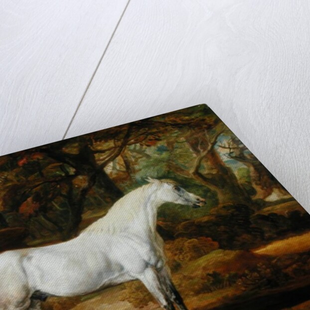 A Grey Arabian Stallion, the Property of Sir Watkin Williams-Wynn, c.1815-20 by James Ward