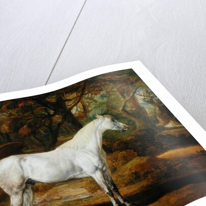 A Grey Arabian Stallion, the Property of Sir Watkin Williams-Wynn, c.1815-20 by James Ward