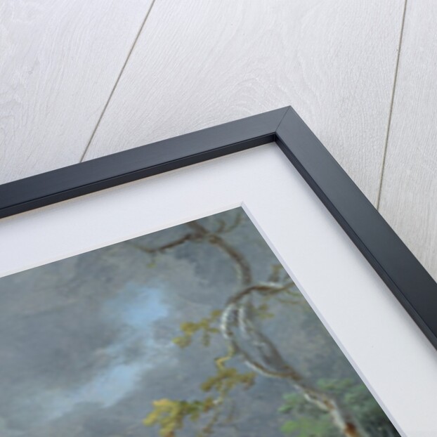 A Border Leicester Ewe by James Ward