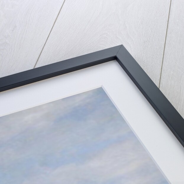 Grizzle Carrier Pigeon by D. the Younger Wolstenholme