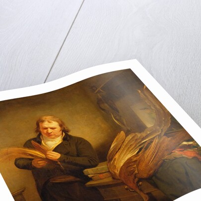 An Ornithologist, probably Mr. Thomson, Animal and Bird Preserver to the Leverian and British Museums, 1802 by Ramsay Richard Reinagle