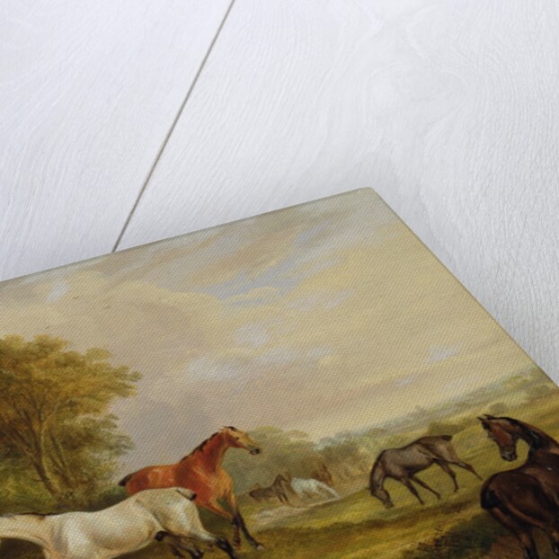 Horses Grazing: A Grey Stallion grazing with Mares in a Meadow by Francis Calcraft Turner
