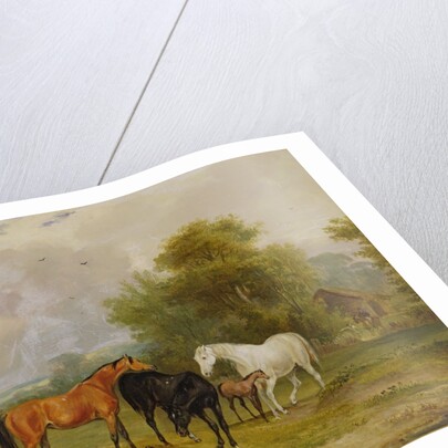 Horses Grazing: Mares and Foals in a Field by Francis Calcraft Turner