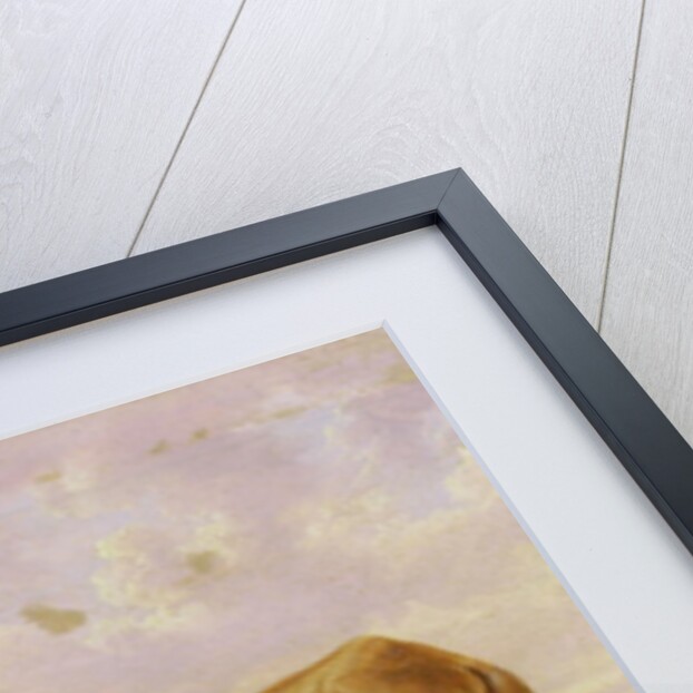 Old Billy, a Draught Horse, Aged 62 by Charles Towne