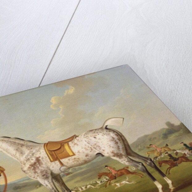 Scipio, Colonel Roche's Spotted Hunter, c.1750 by Thomas Spencer