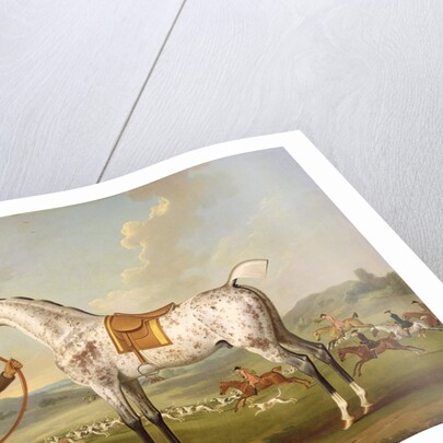 Scipio, Colonel Roche's Spotted Hunter, c.1750 by Thomas Spencer