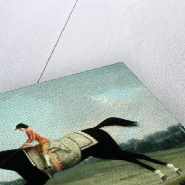 Borlase Cokayne as a Boy riding Sultana, 1751 by Thomas Smith of Derby