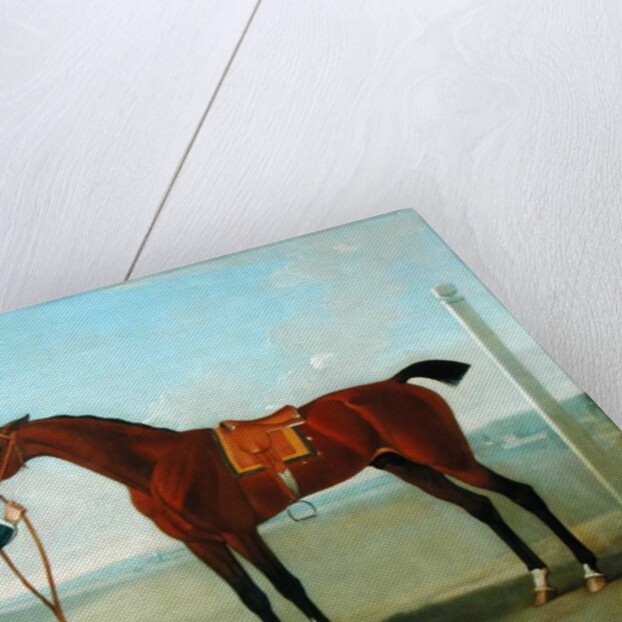 The Duke of Devonshire's Flying Childers, 1742 by James Seymour