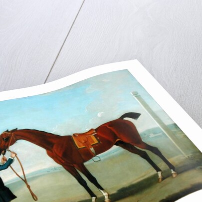 The Duke of Devonshire's Flying Childers, 1742 by James Seymour