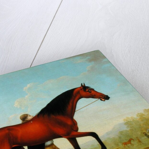 The Duke of Ancaster's Bay Stallion, Blank, walking towards a Mare by William Shaw