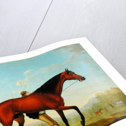 The Duke of Ancaster's Bay Stallion, Blank, walking towards a Mare by William Shaw