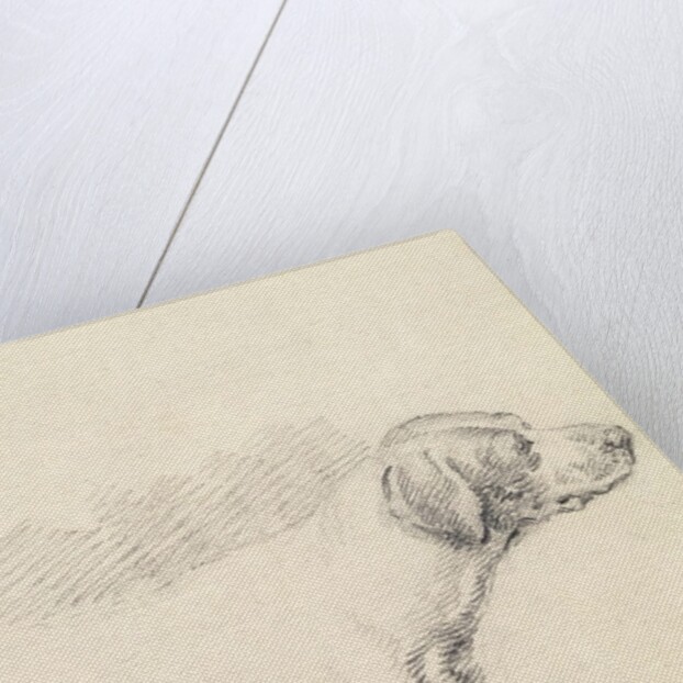 Study of a Hound, 1794 by George Morland