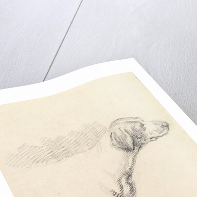 Study of a Hound, 1794 by George Morland