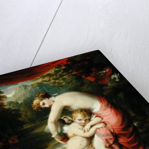 Venus and Cupid, 1809 by Henry Howard