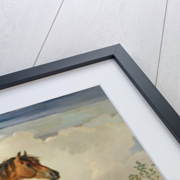 Eagle, a Celebrated Stallion by James Ward