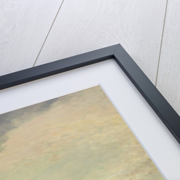 On the Nile by Edward William Cooke