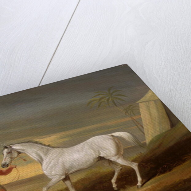 Signal, a grey Arab, with a Groom in the Desert by David of York Dalby