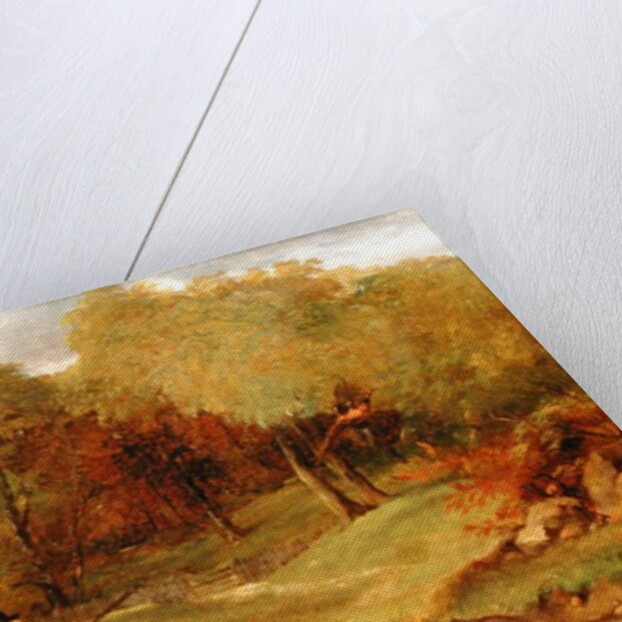 Pheasant Shooting by Edward Duncan