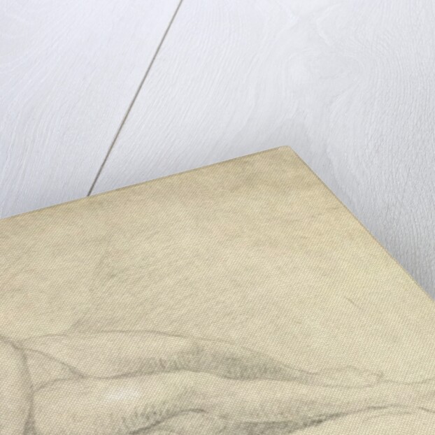 Study of a Female Nude by William Hogarth