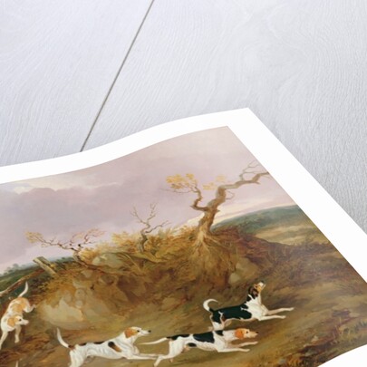 Beagles in Full Cry, 1845 by John Dalby