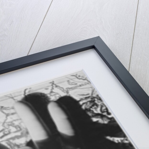 The London-Manchester Stage Coach outside the Peacock Inn, Islington by James Pollard