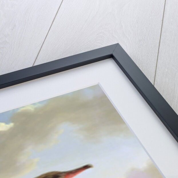 A Dun Diver by Robert Wilkinson Padley